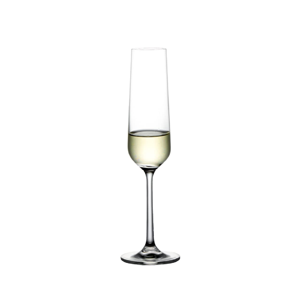 Elegant Toast Champagne Glass Set| Sparkling Wine | Celebration Glasses | Set of 6
