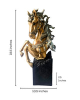 Half Horse Face | Sculpture | Table Decor Accent | Premium