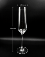 Champagne Glass | Glassware | Party Use | Classic
